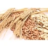 Multi Wholesome Grains